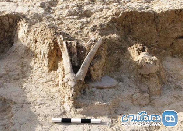 تخریب بخشهایی از محوطه باستانی تپه سراب کرمانشاه به دلیل اجرای پروژه راه آهن