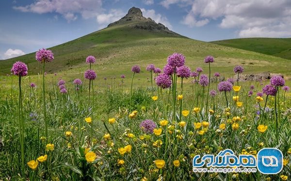 استان کرمانشاه در فصل بهار بسیار دیدنی است