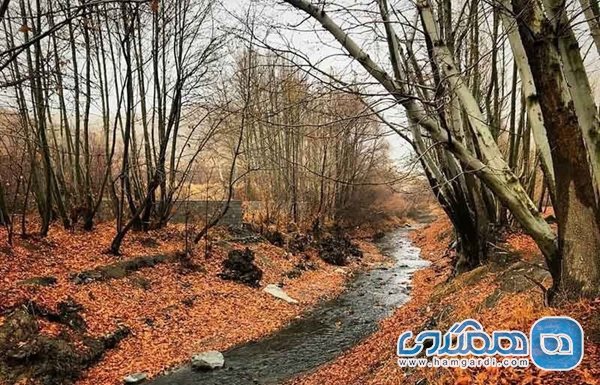 بازدید از جنگل جیغ مشهد