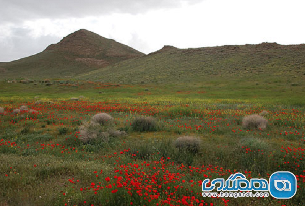 پناهگاه حیات وحش موته یکی از جاذبه های گردشگری استان اصفهان است