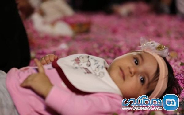 آیین ملی گل غلتان در خانه تاریخی آل یاسین کاشان برگزار شد