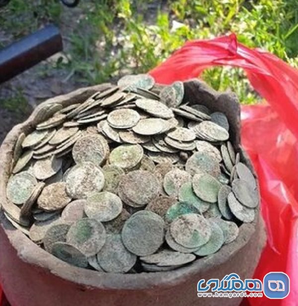 کشف گنجینه ای از سکه های تاریخی در جنگلی در رومانی 