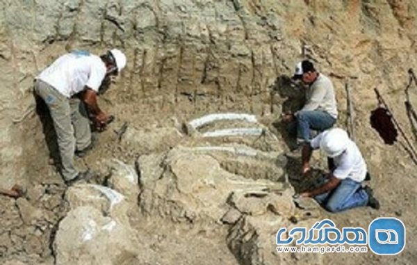 کشف بقایای یک بنای یادمانی مهم مربوط به دوره اشکانی در محوطه ویرانشهر