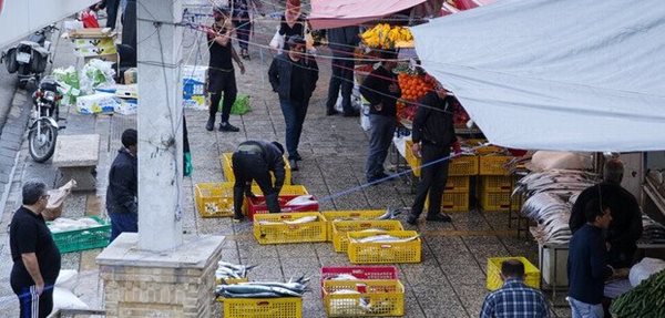 ساماندهی بازار ماهی و پروتئین دروازه کازرون شیراز روی میز اجرا است