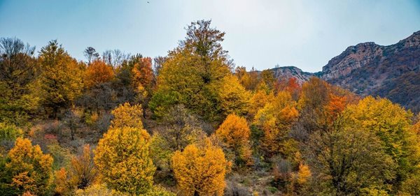 فصل خزان در ارتفاعات شهرستان رامیان استان گلستان 3