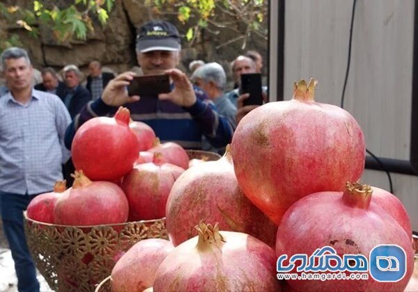 تاکید بر لزوم تبدیل جشنواره انار به برند گردشگری درجزین