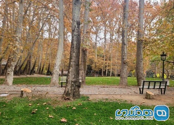شکایت شهرداری تهران از کاخ سعدآباد بابت قطع 15 درخت