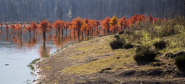 نگاهی به زیبایی های پاییز در دریاچه الندان ساری 2