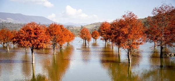نگاهی به زیبایی های پاییز در دریاچه الندان ساری