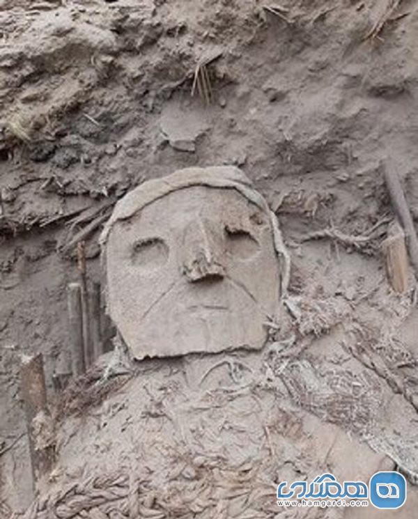 کشف ده ها مومیایی در یک محوطه تاریخی واقع در پرو