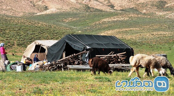 افزایش تعداد کمپهای گردشگری در مناطق عشایری با هدف افزایش درآمد عشایر تهران