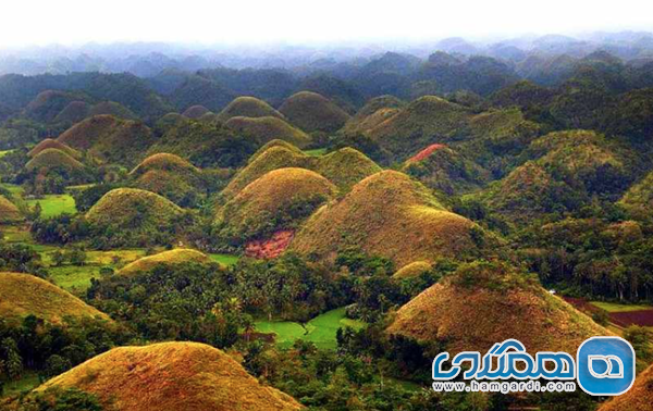 تپه های شکلاتی، فیلیپین