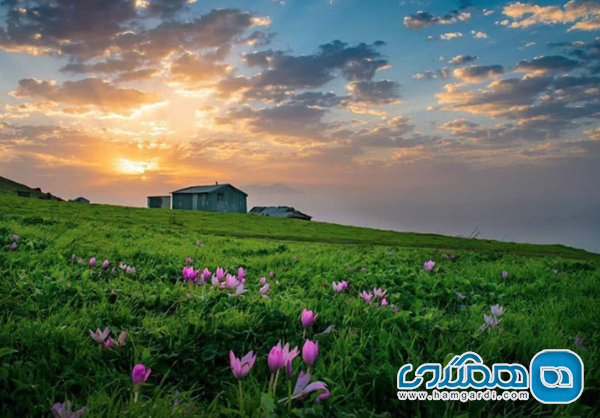 ییلاق اولسبلنگاه