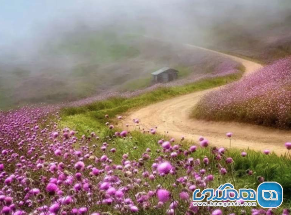 مسیر دسترسی و وضعیت جاده های ییلاق سلانسر