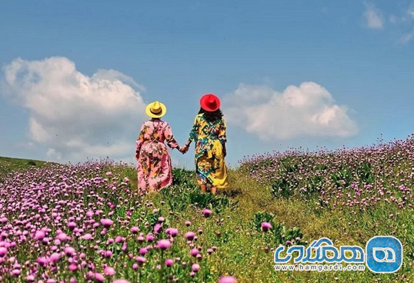 امکانات اقامتی و توصیه های ضروری ییلاق سلانسر