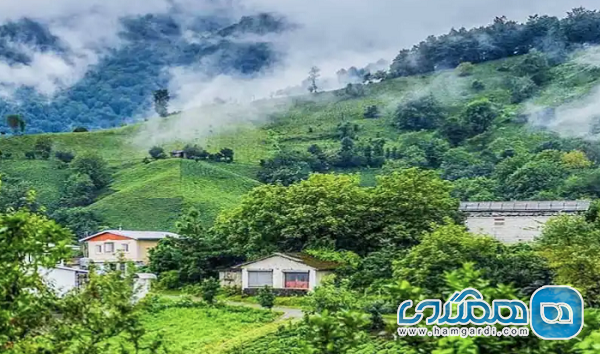 راهنمایی جامع برای مقاصد خنک تیر 1404 در گیلان و مازندران
