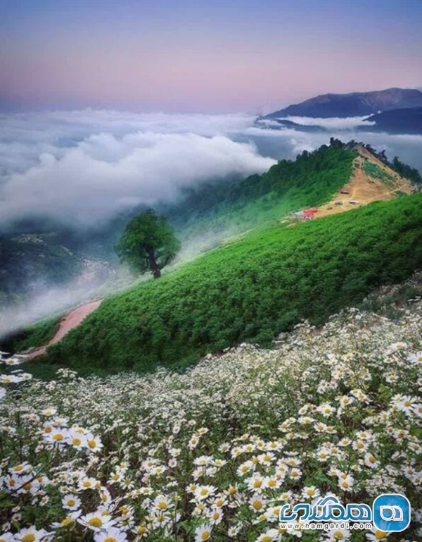 میزان شلوغی و نکات سفر به ماسال در تیرماه