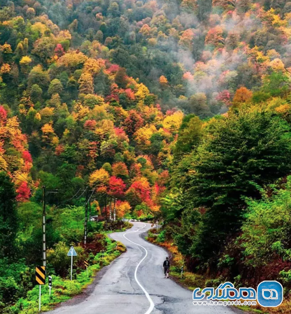 مسیرهای دسترسی و امکانات حمل و نقل ماسال