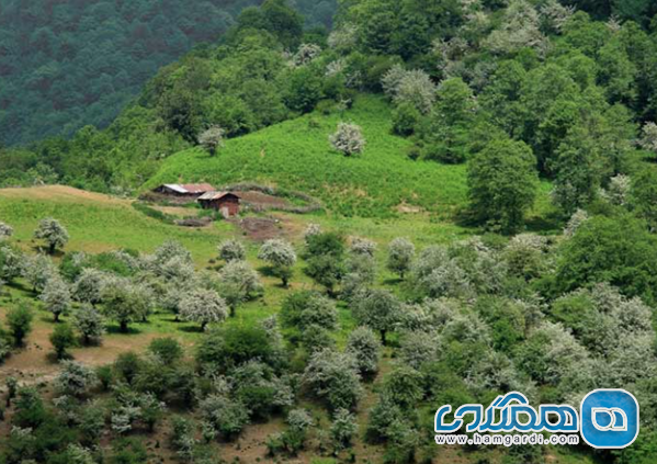 فعالیت ها و جاذبه های طبیعی فیلبند