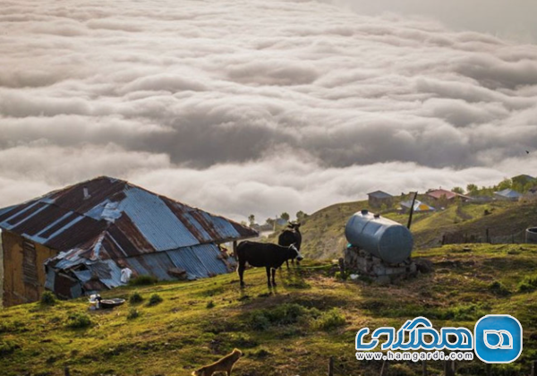 اقامت و امکانات رفاهی فیلبند