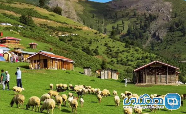 فعالیت ها و جاذبه های دیدنی ماسال