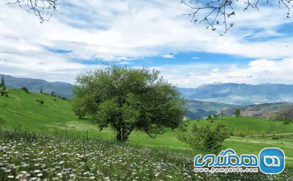 جاذبه های اطراف و فعالیت های پیشنهادی غار دربند رشی