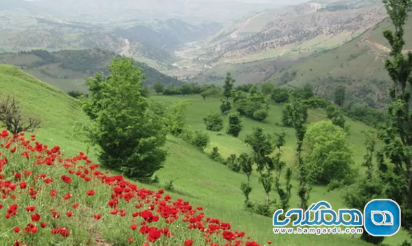 آب و هوای تیرماه و شب های خنک سی دشت