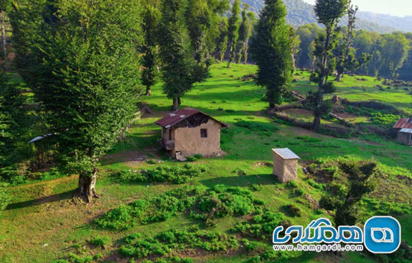 موقعیت جغرافیایی و طبیعت بکر سی دشت
