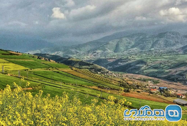 میزان شلوغی سی دشت در تیرماه و نکات ضروری