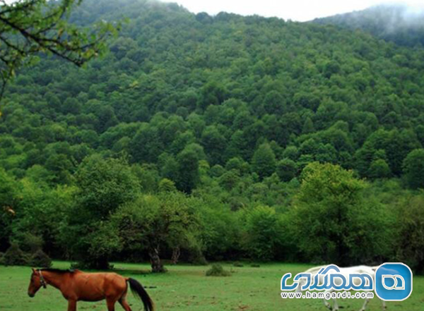 مسیرهای دسترسی و شرایط جاده های الیمستان