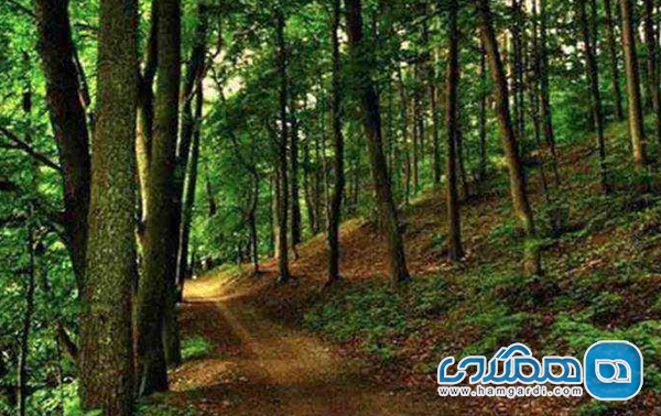 آب و هوا و ویژگی های اقلیمی الیمستان در تیرماه