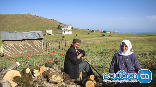 آداب محلی