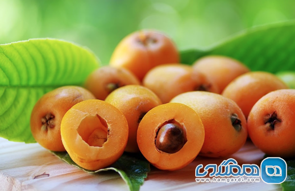 میوه های محلی