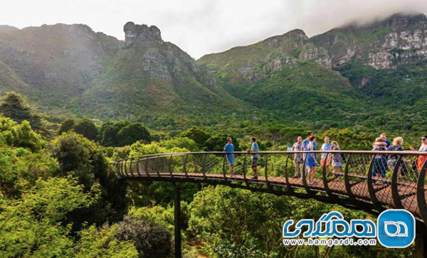 پکیج های تور موجود و مقایسه اجمالی