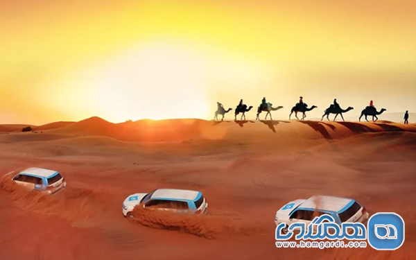 تفریحات ماجراجویانه