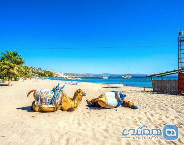 ساحل گومبت (Gumbet Beach)