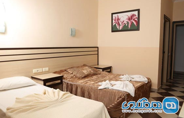ناوی بلو استار