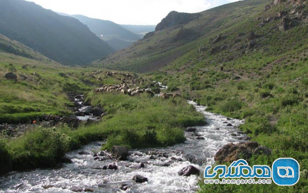 مقدمه