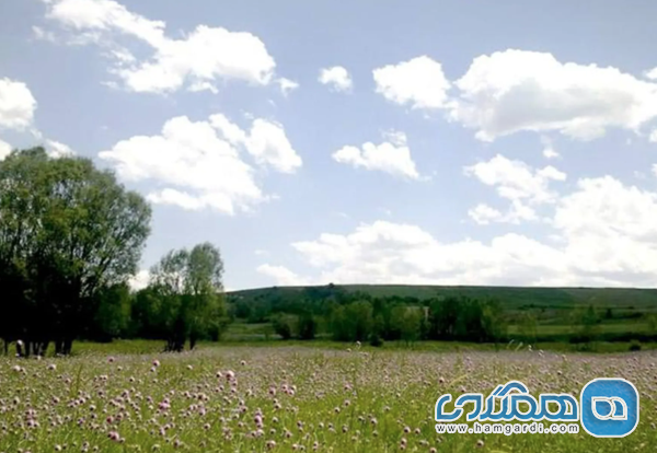 دره جنگلی ایردموسی
