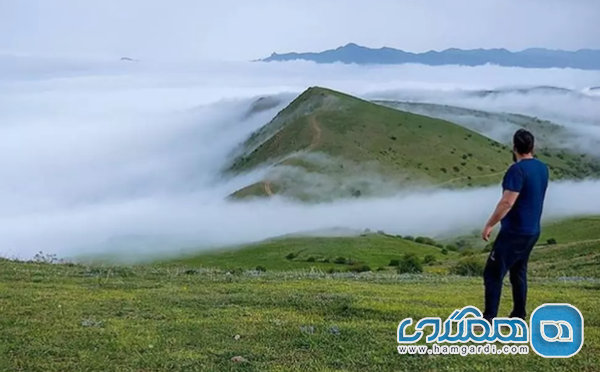 جنگل فندقلو بکر