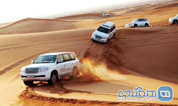 سافاری