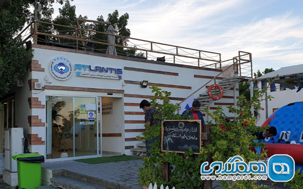 کلوپ های دریایی