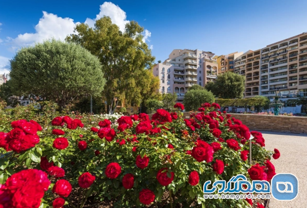 باغ رز شاهزاده گریس (Princess Grace Rose Garden)