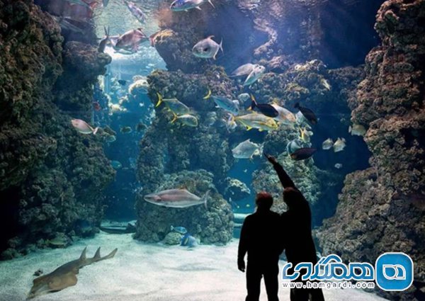 موزه اقیانوس شناسی موناکو (Oceanographic Museum)