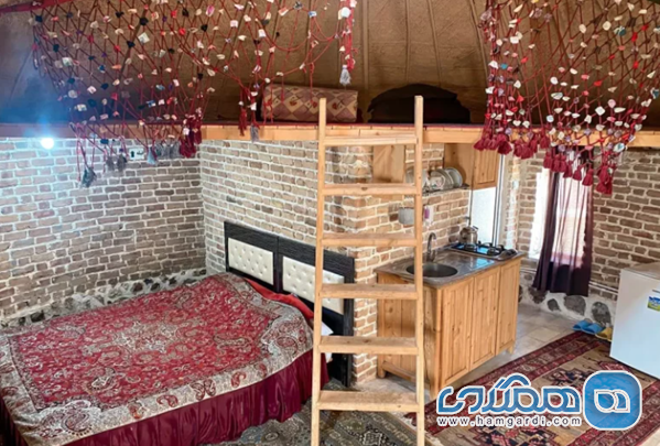 معرفی کلی و هویت شناسی