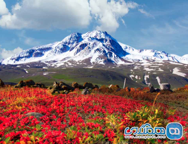 کوه سبلان