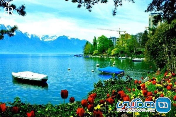 دریاچه زوریخ با پس زمینه کوه های آلپ در تور اروپا سوئیس