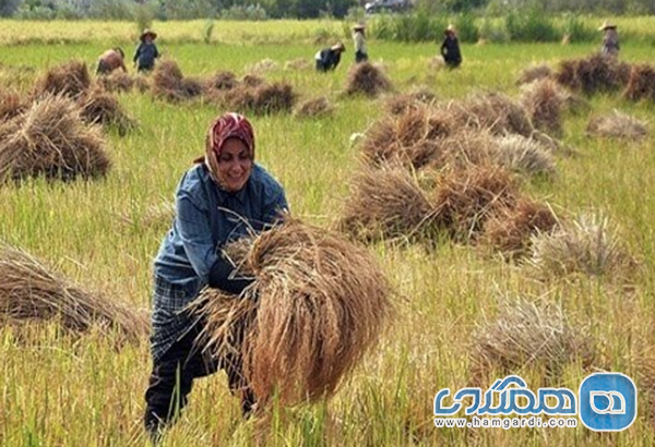 تقویم رویدادهای فرهنگی و جشنواره های فصلی در ماه مهر
