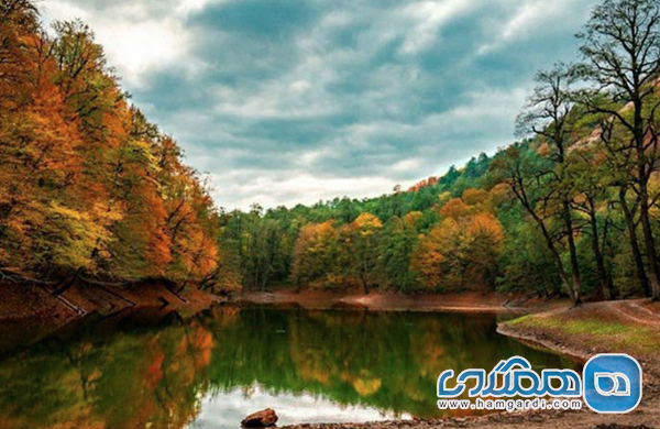 جنگل گردی در شمال