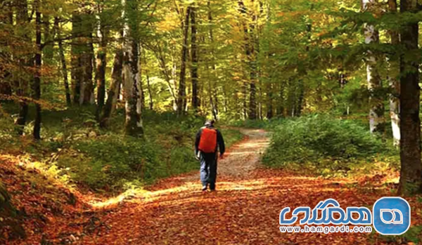 برنامه ریزی سفر حرفه ای: از بودجه بندی تا تجهیزات ضروری